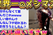 【2ch面白いスレ】閲覧注意レベルの最強すぎるメシマズが降臨したぞww【ゆっくり解説】