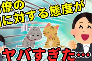 【2ch衝撃的な体験】普段から猫の話題に乗り気じゃない同僚。ある日同僚の家に行ったら…【ゆっくり】