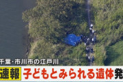 【速報】江戸川で幼い子どもとみられる遺体発見　行方不明の松戸市の女児と似た服を着用
