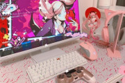 【悲報】激カワ女子小学生、ゲーム環境を公開してしまう