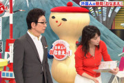 NHK赤木野々花アナ、深Vネックニット巨乳画像がエロすぎるww「日本人のおなまえっ！」で胸元ゆるゆる＆Eカップおっぱい強調衣装！
