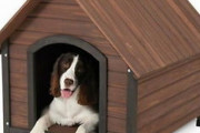 犬小屋住み「こどおじ！こどおじ！ｗｷｬｯｷｬｯ」ワイ「食費入れてる」犬小屋住み「え？」