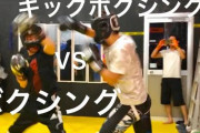喧嘩ではキックボクシングよりボクシングやってる人のほうが有利なんだって(´・ω・｀)
