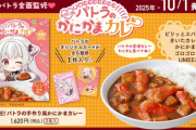 【画像】Vtuber監修のレトルトカレー、1620円ｗｗｗｗ