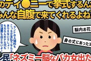 【報告者キチ】「憧れのネズミーで挙式するんだ！みんな自腹で来てくれるよね？」身の丈に合わない式を無理やり挙げようとする脳内お花畑のイッチにスレ民「ネズミー脳なヤベェ女出たw」【2ch ゆっくり解説】