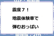 震度７！地震体験車で弾むおっぱいGIF