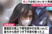 【悲報】女性の下半身を触り下着を引きちぎって奪った男を逮捕！！男「はいている下着が欲しかった」