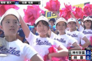 【画像】高校野球チアの衣装が変更される