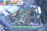 【画像】USJの任天堂ワールド、狭すぎるｗｗｗｗｗｗ