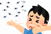 【悲報】この時期鬱陶しいコバエ、不死身だった