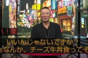 【画像】ぷよぷよ公式に「チーズ牛丼食ってそうｗ」と言われた少年、イケメンになっていたｗ