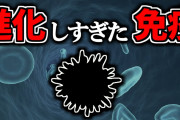 コウモリ「SARSコロナ、エボラ、狂犬病、ニパウイルスなど全部私が起源です」中国人「食べる！」