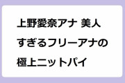 上野愛奈アナ 美人すぎるフリーアナの極上ニットパイ！三十路の色気も漂う美しい鎖骨
