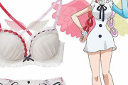 【朗報】アニメ映画が大ヒット⇒キャラが着用しているパンツとブラを販売しますｗｗｗ