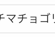 【画像】Googleさん「着物、エチッ！w」「チャイナドレス、エチッ！w」「チマチョゴリ…？」