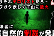 【2ch怖い話】放火&有線ジャック…山の無法者に超自然的“制裁”発動【ゆっくり】