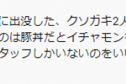 吉野家で女性店員を恫喝するハゲの動画って何度見ても不快だよな