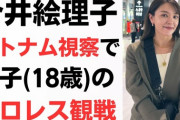 【自民】今井絵理子議員　1カ月で2回も海外視察！ベトナム視察中には「息子のプロレス観戦」、成果報告に高まる期待