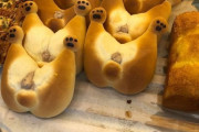 【画像】パン屋「犬のお尻パン売ってますー！」ワイ「何やその可愛い感じのパンは」