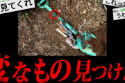 【鳥肌注意】あまりにも不可解な怖すぎる話「変なもの見つけた」