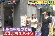 山之内すず、意外とおっぱいが大きかった