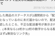 ワイ「荷物が届かないんですが」通販サイト「住所が見当たらず返送されてきました」  →バトル開始