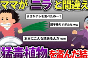 泥ママがニラと間違えて危険な植物を盗んだ→泥ママ一家が救急車で運ばれた…【スカッと2chスレ】