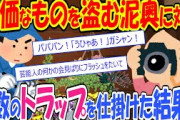 【2ch修羅場】敷地内に入り高価なものを盗む泥奥に対し、トラップを仕掛けた結果【スカッと】