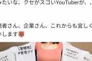 【画像】巨乳Youtuber「おっぱい強調するだけでこんなに仕事貰えた」