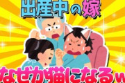 面接受けて煽るのが趣味だけど質問ある？【2ch面白いスレ】