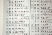 【悲報】「すみません」の言い方、沖縄だけおかしすぎるｗｗｗｗｗｗｗｗ