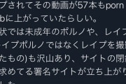 【画像】女さん「Pornhub閉鎖に！署名お願いします」チン○「妊娠マシンのくせに生意気な」