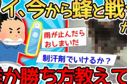 【2ch面白いスレ】「まじかよ…ベランダにハチの巣あるから今から駆除するわ」→渾身の撃退法がヤバすぎワロタｗｗｗ