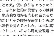 【悲報】まんさん、画像検索にアダルト画像が出てきて大激怒！