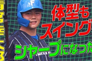 【朗報】ダイエットに成功した清宮幸太郎さん、普通に男前になるｗｗｗｗｗ