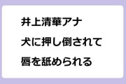 井上清華アナ　犬に押し倒されて唇を舐められる