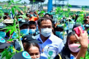 【えぇ】タイ政府「大麻を犯罪とするのは間違っていた」→3000人の受刑者を釈放