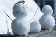 【画像】雪だるま作った