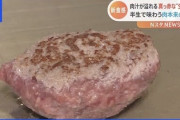【画像】「真っ赤な半生の生バーグ」が流行中ｗｗｗｗｗｗｗｗｗｗｗｗｗｗ