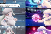 ポケモンで一番エッチなジムリーダー?