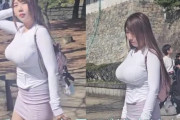 【エロ画像】 韓国美女のvelvetが名古屋城で爆乳アピール
