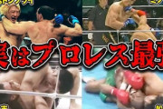 昔から今に至るまでK-１や総合格闘技でプロレスラーが勝ちまくってるけど、やっぱ結局のところプロレスラーが最強なんやな