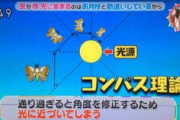 【閲覧注意】昆虫、やはり欠陥生物だった 虫カスさぁ…
