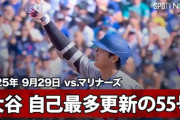 大谷翔平55号ボール、36歳パパが決死のダイブで頭流血…お宝ボール売却宣言「3人の子供のためなら売る」