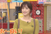 【画像】新井恵理那アナのニットおっぱいでっけええ