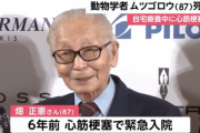 【訃報】ムツゴロウさん死去…畑正憲さんが心筋梗塞で亡くなる…2chでは「動物王国の現在」「テレビでライオンに指食われた」「麻雀がクソ強い」が話題に