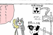 【悲報】なろう主人公「シュレディンガーの猫ってやつさ。知らないだろ？」