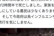 中国の養鶏場で鳥インフル発生。2時間半で数万羽死亡…もうめちゃくちゃ