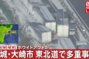 【動画あり】東北道で多重事故。ホワイトアウトか。宮城県大崎市