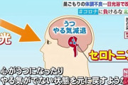 【朗報】紫外線の効果「筋肉ムキムキに」「骨が丈夫に」「免疫力アップ」「コロナ死滅」  すごすぎだろ